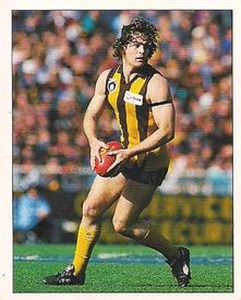 1994 Select AFL Stickers #153 Ben Allan Front